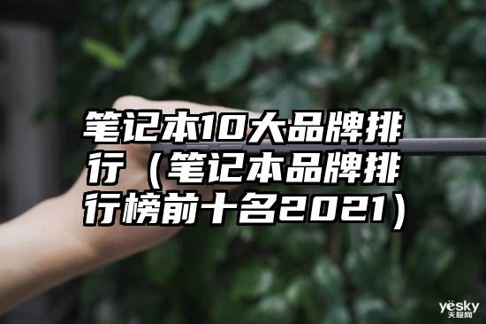 笔记本10大品牌排行（笔记本品牌排行榜前十名2021）