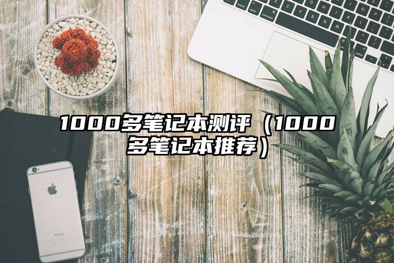 1000多笔记本测评（1000多笔记本推荐）