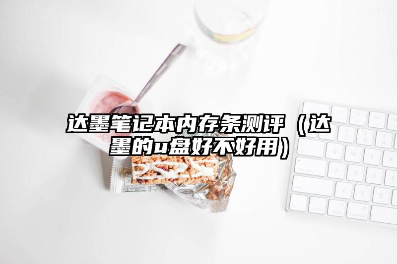 达墨笔记本内存条测评（达墨的u盘好不好用）