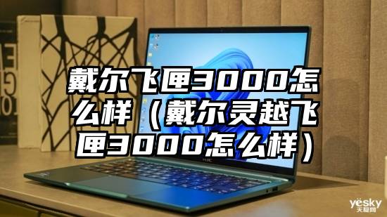 戴尔飞匣3000怎么样（戴尔灵越飞匣3000怎么样）