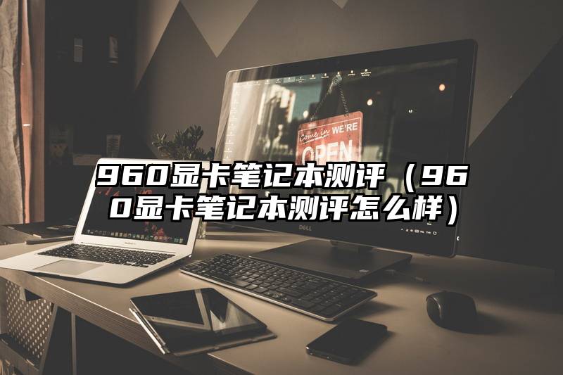 960显卡笔记本测评（960显卡笔记本测评怎么样）