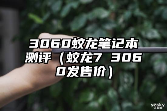 3060蛟龙笔记本测评（蛟龙7 3060发售价）