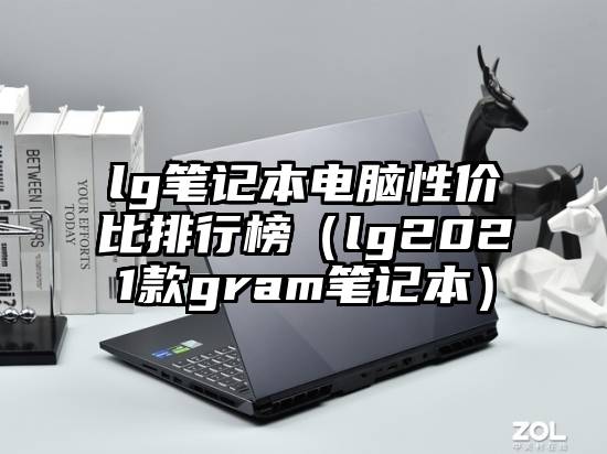 lg笔记本电脑性价比排行榜（lg2021款gram笔记本）