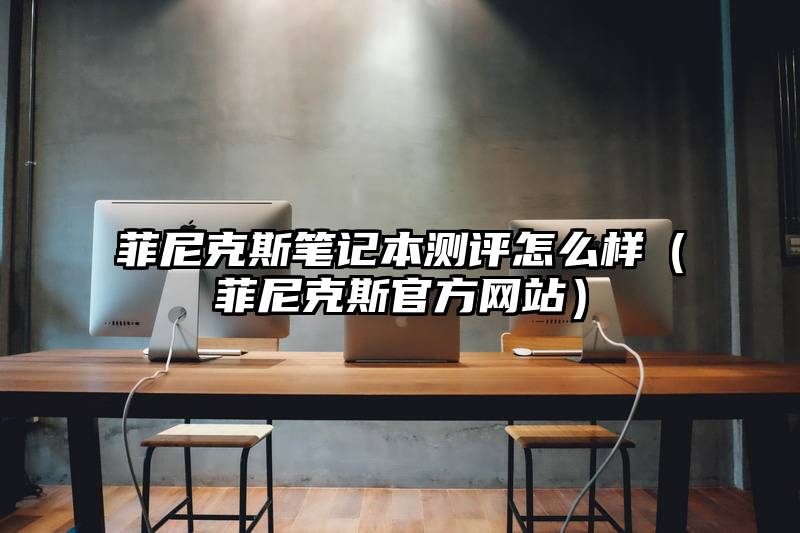 菲尼克斯笔记本测评怎么样（菲尼克斯官方网站）