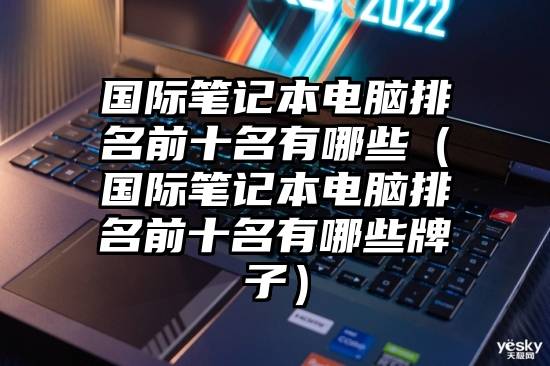 国际笔记本电脑排名前十名有哪些（国际笔记本电脑排名前十名有哪些牌子）