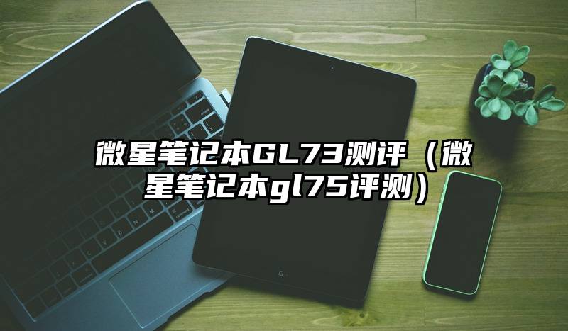 微星笔记本GL73测评（微星笔记本gl75评测）