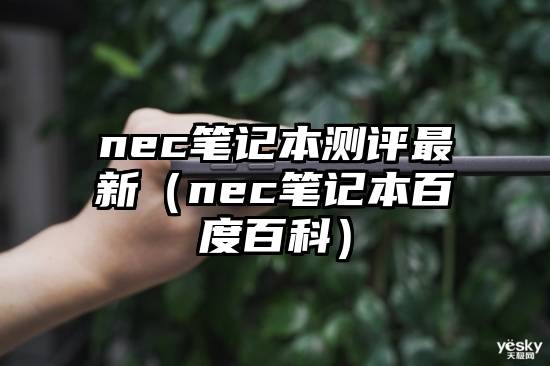 nec笔记本测评最新（nec笔记本百度百科）