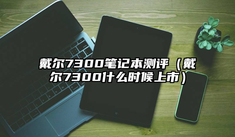 戴尔7300笔记本测评（戴尔7300什么时候上市）