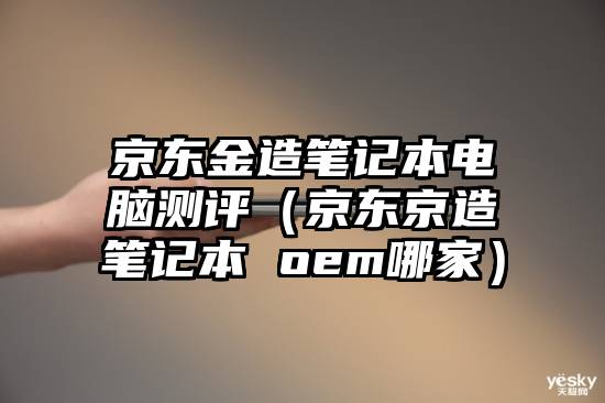 京东金造笔记本电脑测评（京东京造笔记本 oem哪家）