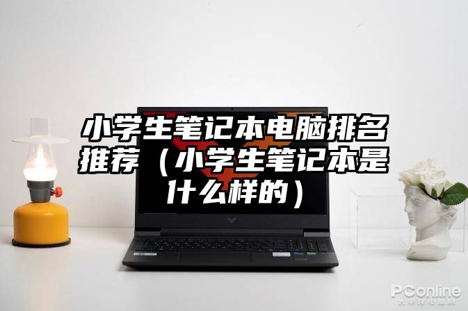 小学生笔记本电脑排名推荐（小学生笔记本是什么样的）