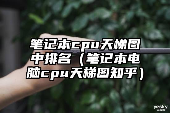 笔记本cpu天梯图中排名（笔记本电脑cpu天梯图知乎）