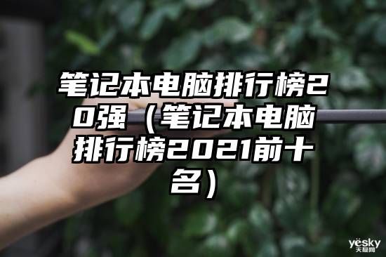 笔记本电脑排行榜20强（笔记本电脑排行榜2021前十名）