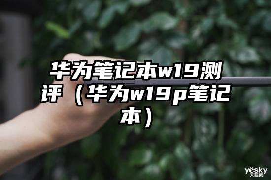 华为笔记本w19测评（华为w19p笔记本）