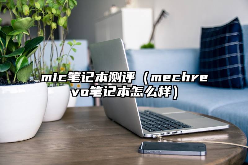 mic笔记本测评（mechrevo笔记本怎么样）