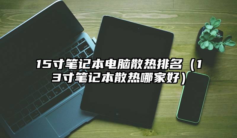 15寸笔记本电脑散热排名（13寸笔记本散热哪家好）