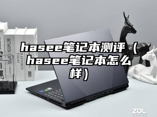 hasee笔记本测评（hasee笔记本怎么样）