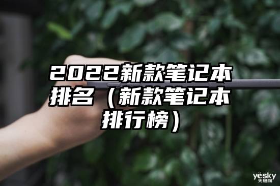 2022新款笔记本排名（新款笔记本排行榜）