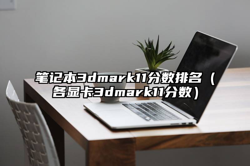 笔记本3dmark11分数排名（各显卡3dmark11分数）