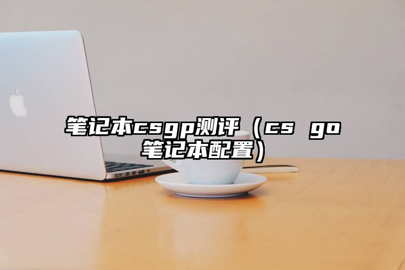 笔记本csgp测评（cs go笔记本配置）