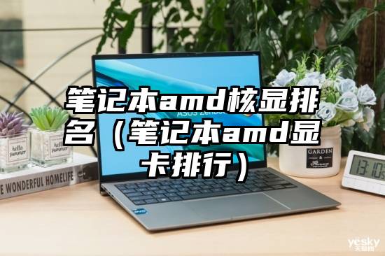 笔记本amd核显排名（笔记本amd显卡排行）