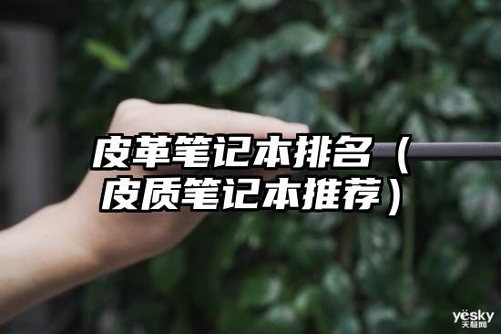 皮革笔记本排名（皮质笔记本推荐）