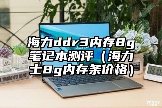 海力ddr3内存8g笔记本测评（海力士8g内存条价格）