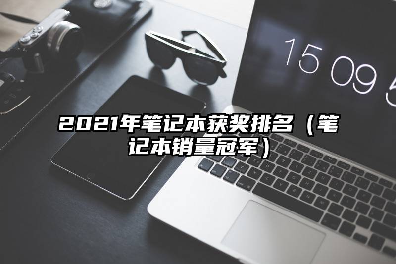 2021年笔记本获奖排名（笔记本销量冠军）