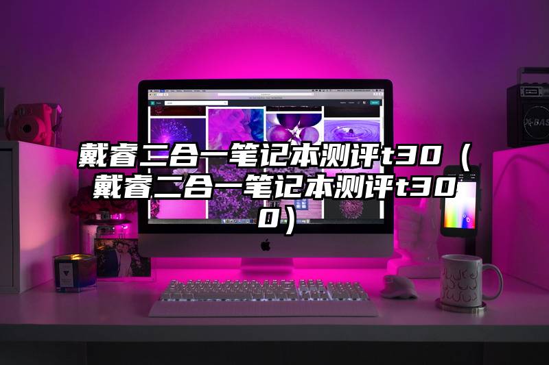 戴睿二合一笔记本测评t30（戴睿二合一笔记本测评t300）