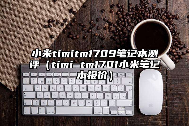 小米timitm1709笔记本测评（timi tm1701小米笔记本报价）