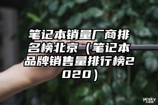 笔记本销量厂商排名榜北京（笔记本品牌销售量排行榜2020）