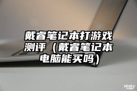 戴睿笔记本打游戏测评（戴睿笔记本电脑能买吗）