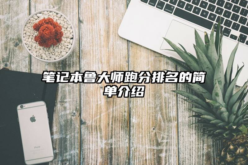 笔记本鲁大师跑分排名的简单介绍