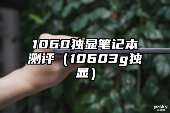 1060独显笔记本测评（10603g独显）