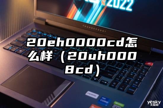 20eh0000cd怎么样（20uh0008cd）