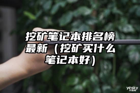 挖矿笔记本排名榜最新（挖矿买什么笔记本好）