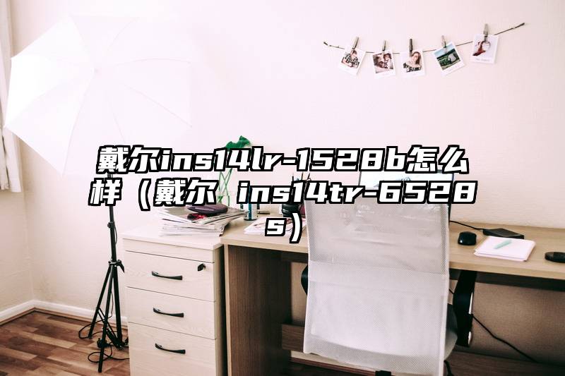 戴尔ins14lr-1528b怎么样（戴尔 ins14tr-6528s）