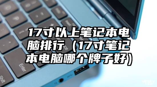 17寸以上笔记本电脑排行（17寸笔记本电脑哪个牌子好）