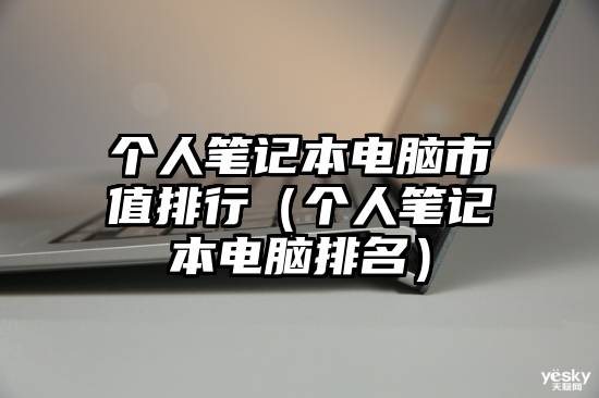 个人笔记本电脑市值排行（个人笔记本电脑排名）