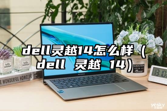 dell灵越14怎么样（dell 灵越 14）