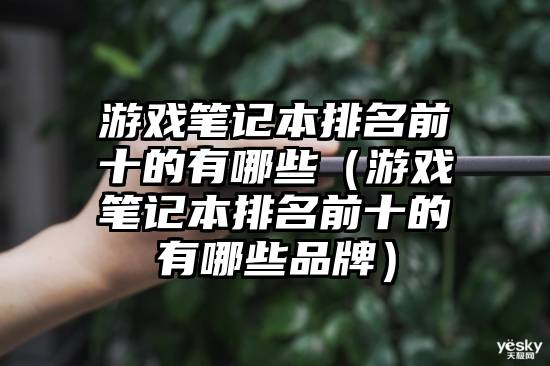 游戏笔记本排名前十的有哪些（游戏笔记本排名前十的有哪些品牌）