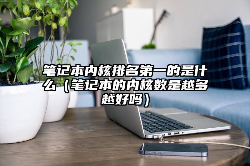 笔记本内核排名第一的是什么（笔记本的内核数是越多越好吗）