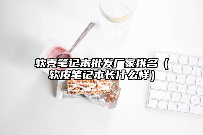 软壳笔记本批发厂家排名（软皮笔记本长什么样）