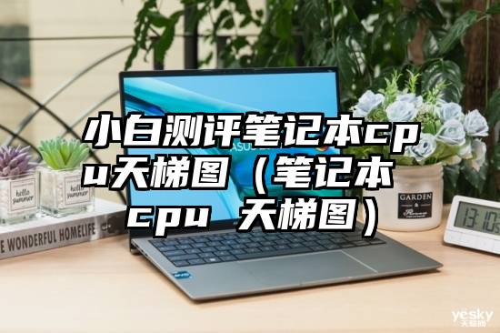 小白测评笔记本cpu天梯图（笔记本 cpu 天梯图）