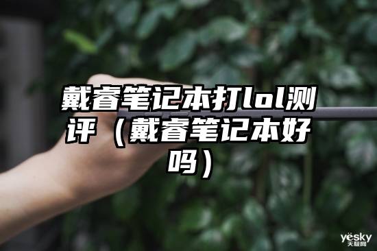 戴睿笔记本打lol测评（戴睿笔记本好吗）