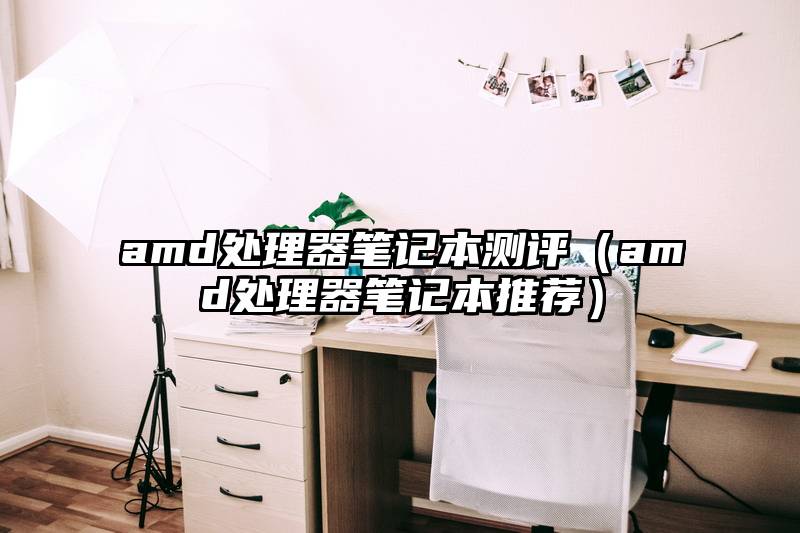 amd处理器笔记本测评（amd处理器笔记本推荐）