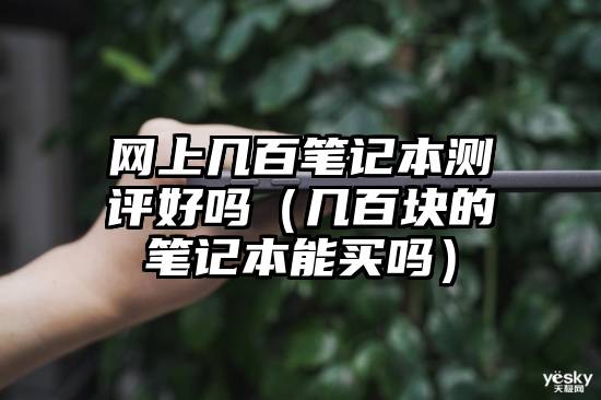 网上几百笔记本测评好吗（几百块的笔记本能买吗）