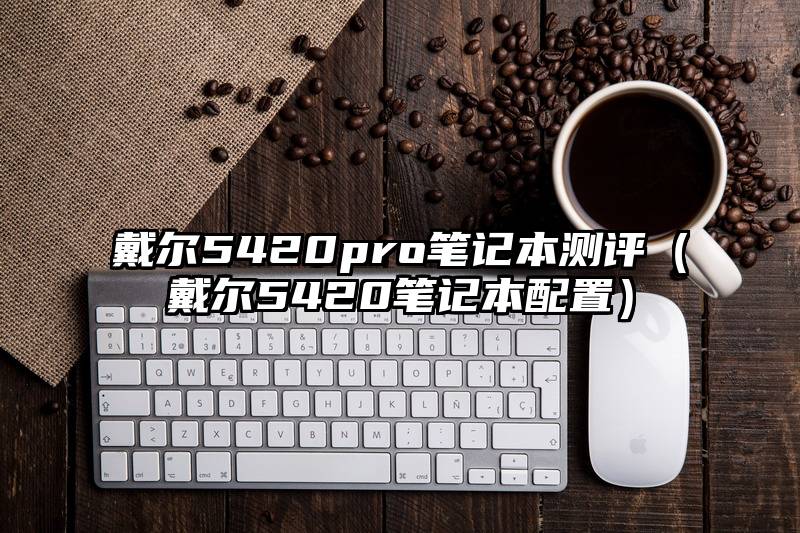 戴尔5420pro笔记本测评（戴尔5420笔记本配置）