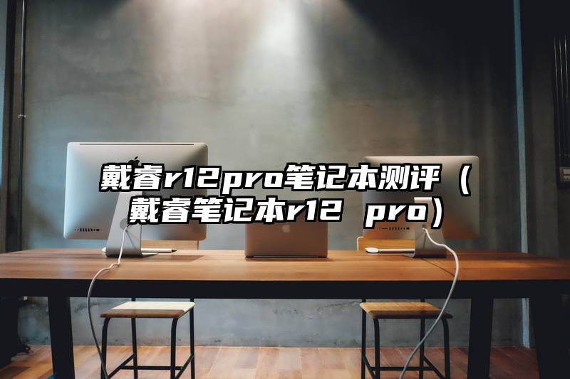 戴睿r12pro笔记本测评（戴睿笔记本r12 pro）