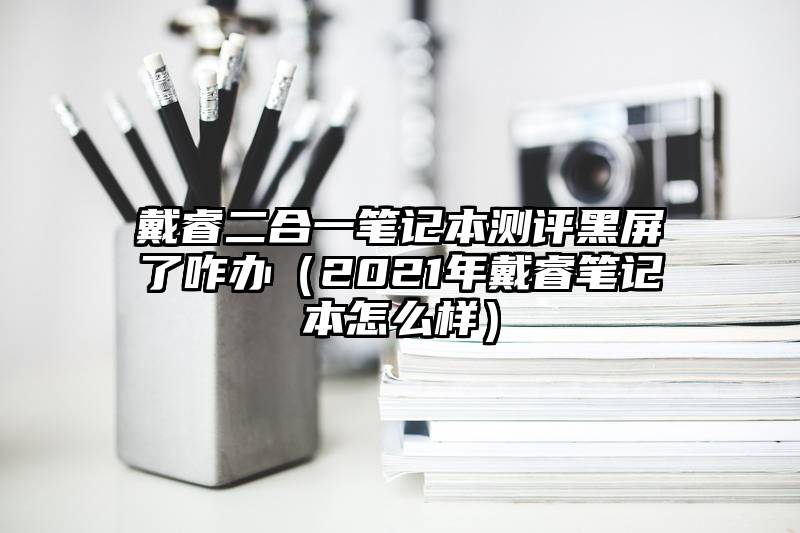 戴睿二合一笔记本测评黑屏了咋办（2021年戴睿笔记本怎么样）